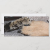 最高のFriends Forever by Shirley Taylor (正面)