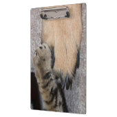 最高のFriends Forever by Shirley Taylor クリップボード (左)