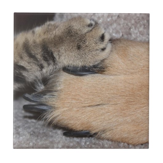 最高のFriends Forever by Shirley Taylor タイル (正面)