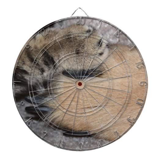 最高のFriends Forever by Shirley Taylor ダーツボード (正面)