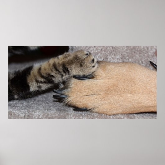 最高のFriends Forever by Shirley Taylor ポスター (正面)