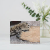 最高のFriends Forever by Shirley Taylor ポストカード (スタンド正面)