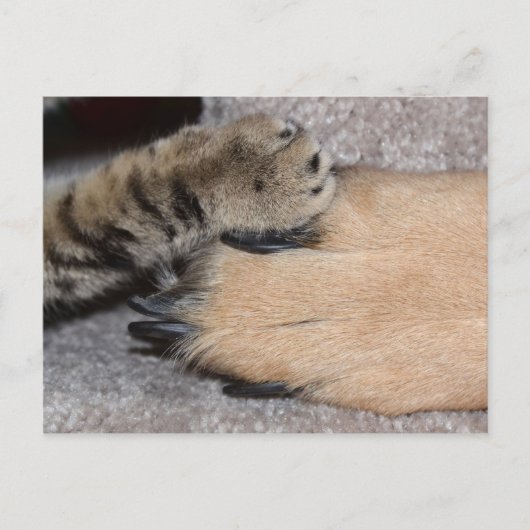 最高のFriends Forever by Shirley Taylor ポストカード (正面)