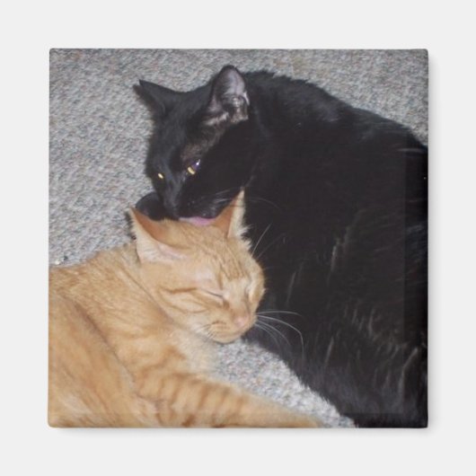 最高のFriends Magnet マグネット (正面)