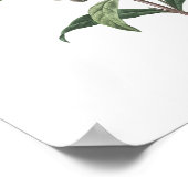 最高品質の植物性プリントのスナップドラゴン ポスター (角)