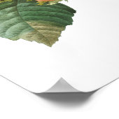 最高品質の植物性プリントのフィルベール ポスター (角)