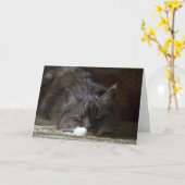 最高 カード (黄色い花)