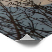 月が木々の上に昇る ポスター (角)