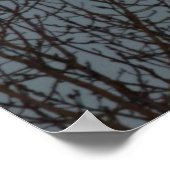 月が木の上に現れるポスター ポスター (角)