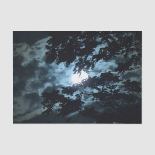 月が木の枝の陰で夜を照らす 薄葉紙 (正面)