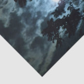 月が木の枝の陰で夜を照らす 薄葉紙 (詳細)