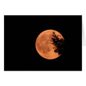 月すごいよ！ (正面横)