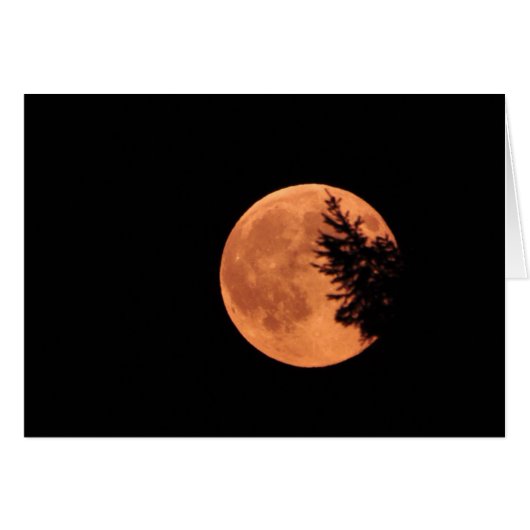 月すごいよ！ (正面横)