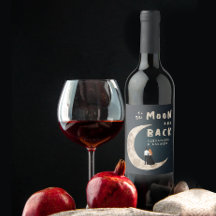 月とバックの愛の物語は空モダンを星にする