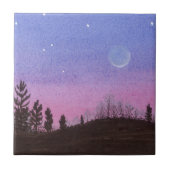 月と星 タイル (正面)
