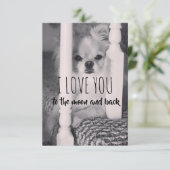 月と背中に向かって愛してる (スタンド正面)