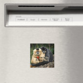 月と背中に向かって愛する マグネット (インサイチュ (食洗機))