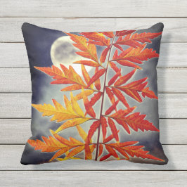 月と葉月 アウトドアクッション