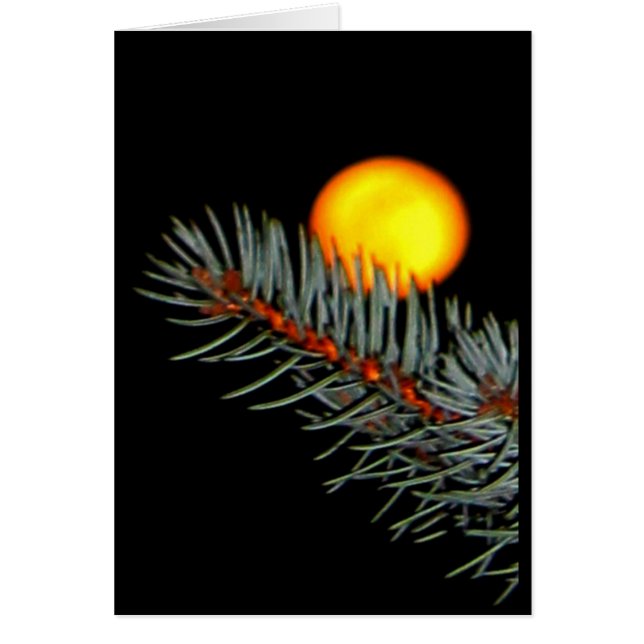 月にも戻にも愛して！ (正面)