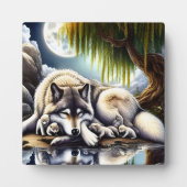 月に照らされたセレニティアスリム フォトプラーク (正面)