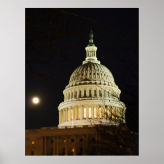 月に照らされた首都ドーム ポスター