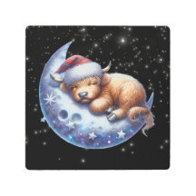 月に眠るサンタ・ハイランドの牛