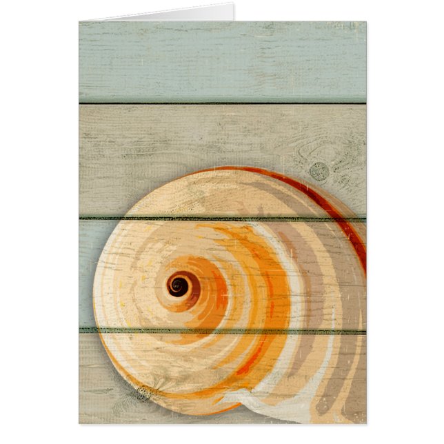 月のかたつむり (正面)