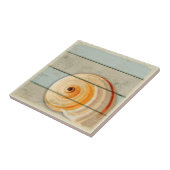 月のかたつむり タイル (側面)