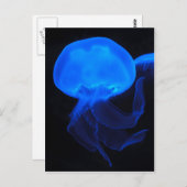 月のくらげ ポストカード (正面/裏面)