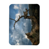 月のクレーターの曲がったライマーパイン幹 マグネット (縦)