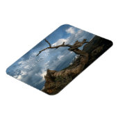 月のクレーターの曲がったライマーパイン幹 マグネット (左側)