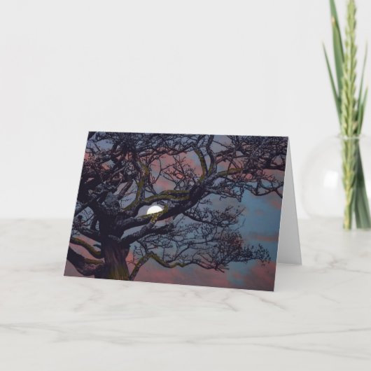 月のグリーティングカードのメモリ カード (正面)