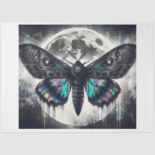 月のレース蛾 薄葉紙 (正面)