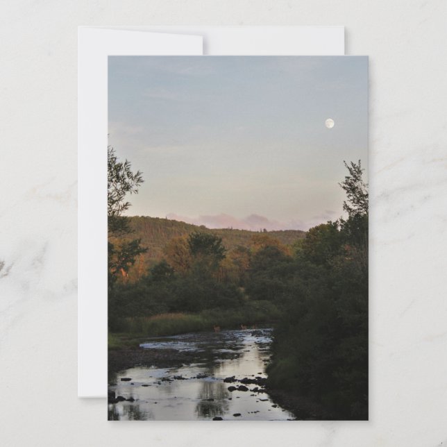 月の下のシカ (正面)