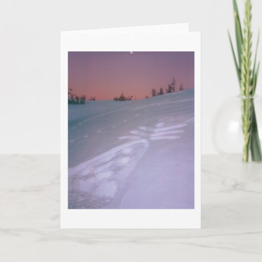 月の下の天使 カード (正面)