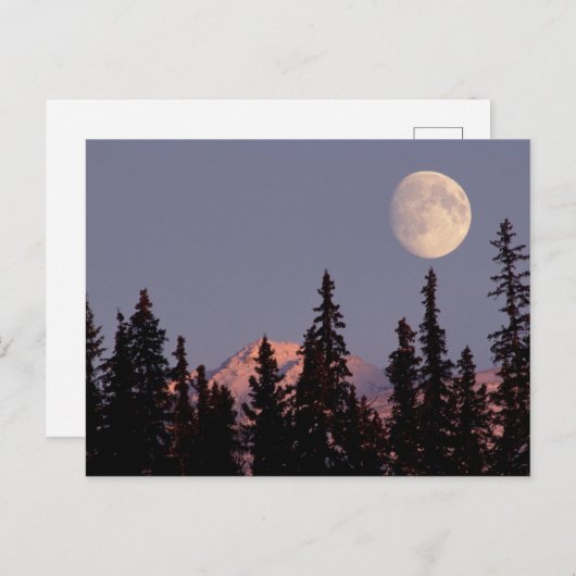月の出の早い冬 |アラスカ,アンカレッジ ポストカード (正面/裏面)