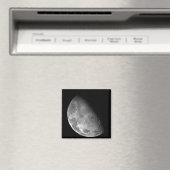 月の北極 マグネット (インサイチュ (食洗機))