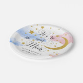 月の向こうで性別がピンクとブルーを明かす ペーパープレート (アングル)