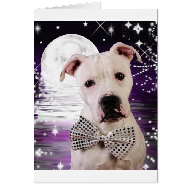 月の子犬 (正面)