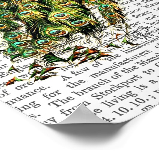 月の孔雀 ポスター (角)