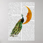 月の孔雀 ポスター (正面)