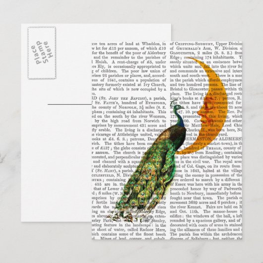 月の孔雀 ポストカード (正面/裏面)