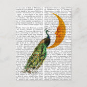 月の孔雀 ポストカード (正面)