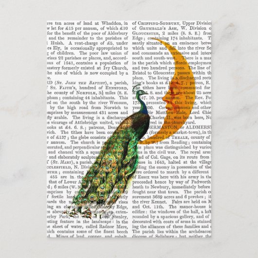 月の孔雀 ポストカード (正面)