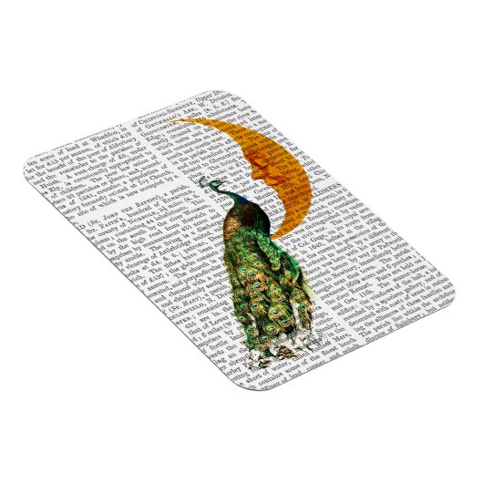 月の孔雀 マグネット (右側)