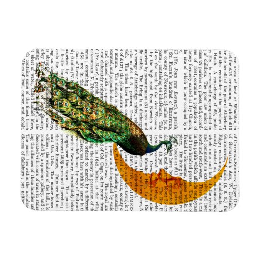 月の孔雀 マグネット (横)