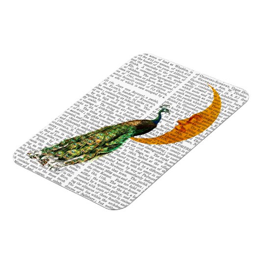 月の孔雀 マグネット (左側)