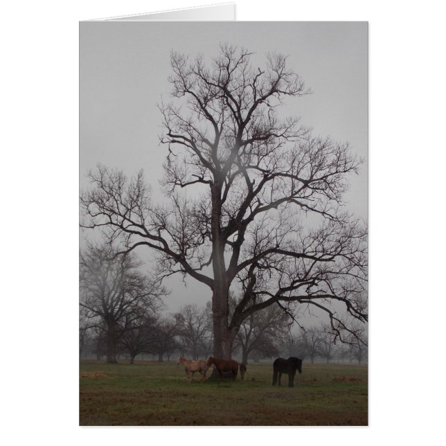 月の川牧場II (正面)