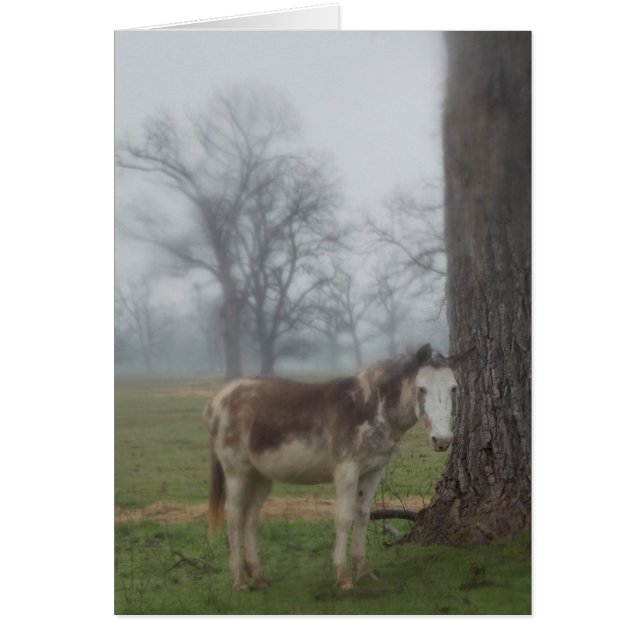 月の川牧場III (正面)