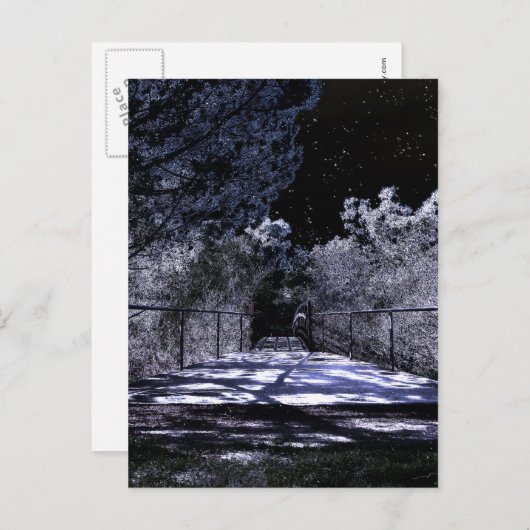 月の影 ポストカード (正面/裏面)